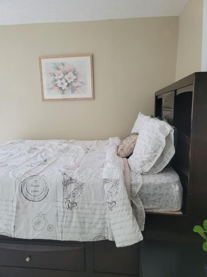 סרסוטה Entire Guesthouse 5 Mins To Siesta Key & Downtown מראה חיצוני תמונה